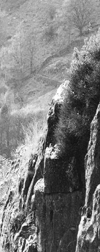 crags in Longsleddale