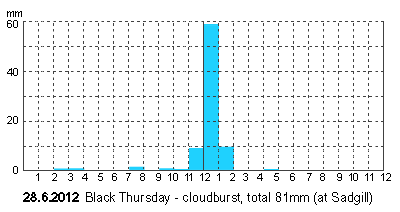 graph, Black Thursday