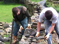 rebuilding dry stone walls
