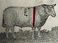 Shepherds Guide 1817 showing smit mark, Thomshow flock