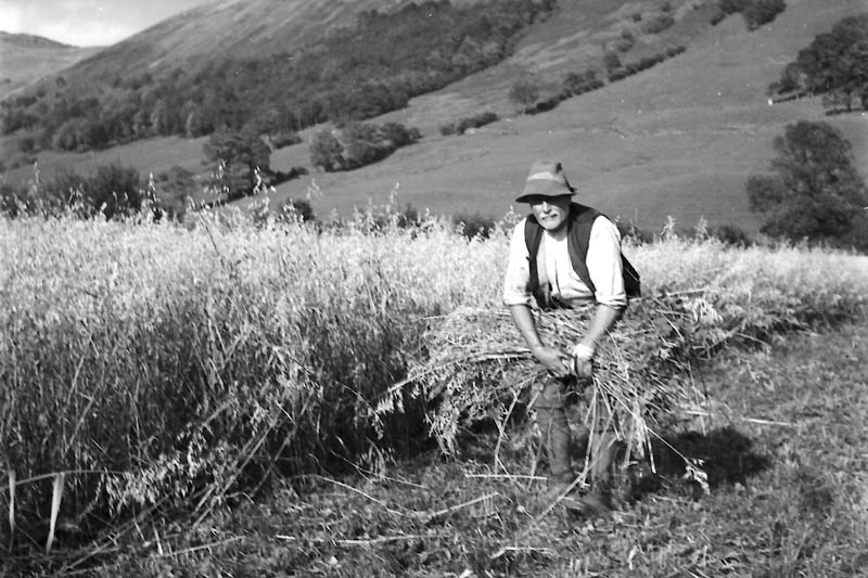 Harvesting, 1940s